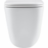 Подвесной унитаз безободковый TERMINUS ВАТИКАН MONOLIT 490х340 белый 03WM49x34W